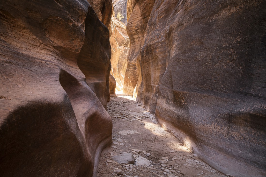Sunlit dry slot canyon narrows with water-polished walls hinting at past flood flows